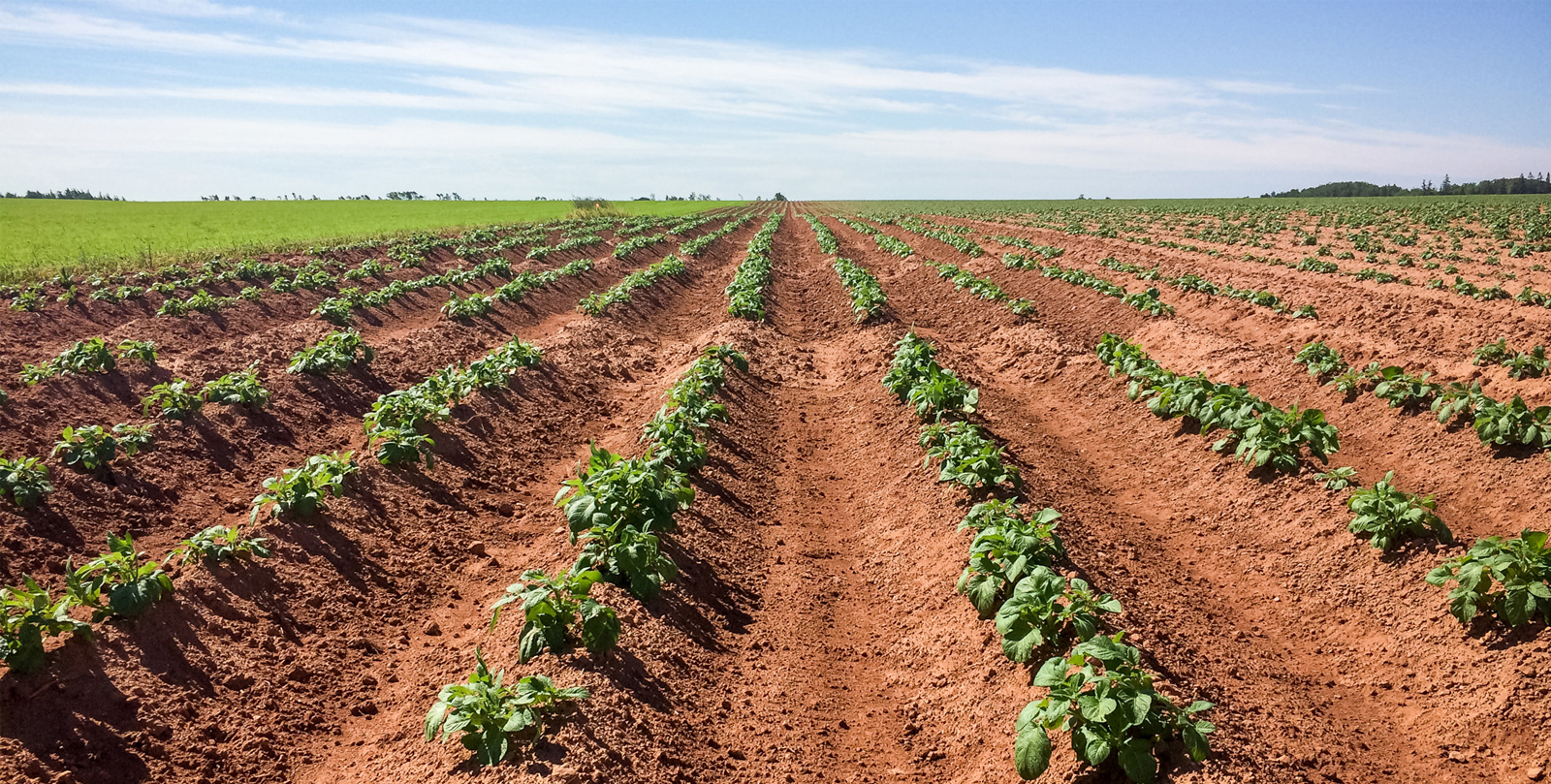 Bootstrap Touch Slider